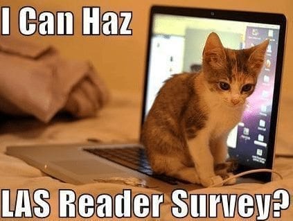 Lol cat lacrosse survey computer