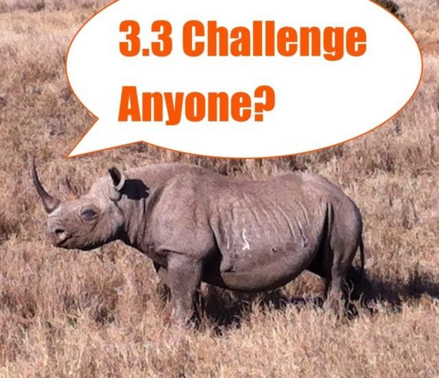 rhino_3.3_challenge