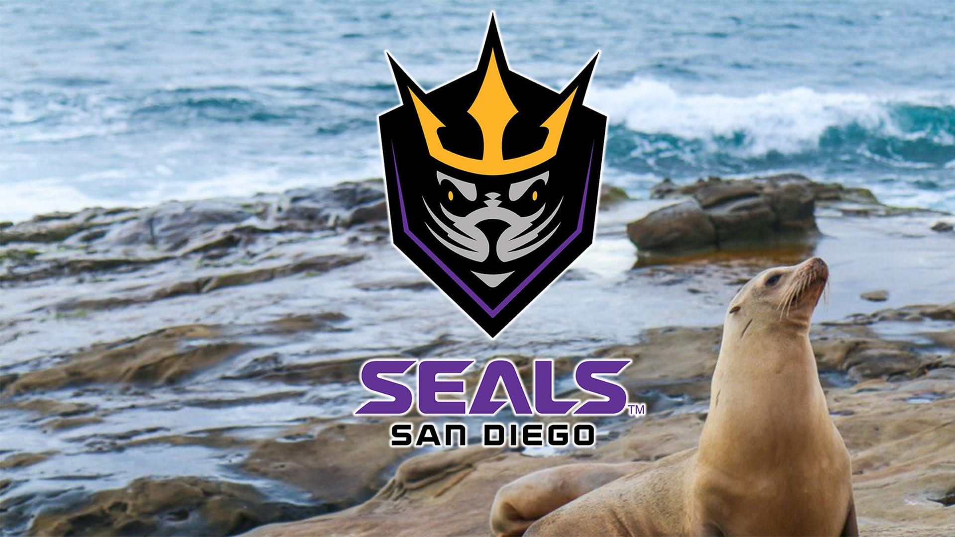 Image result for san diego seals lax