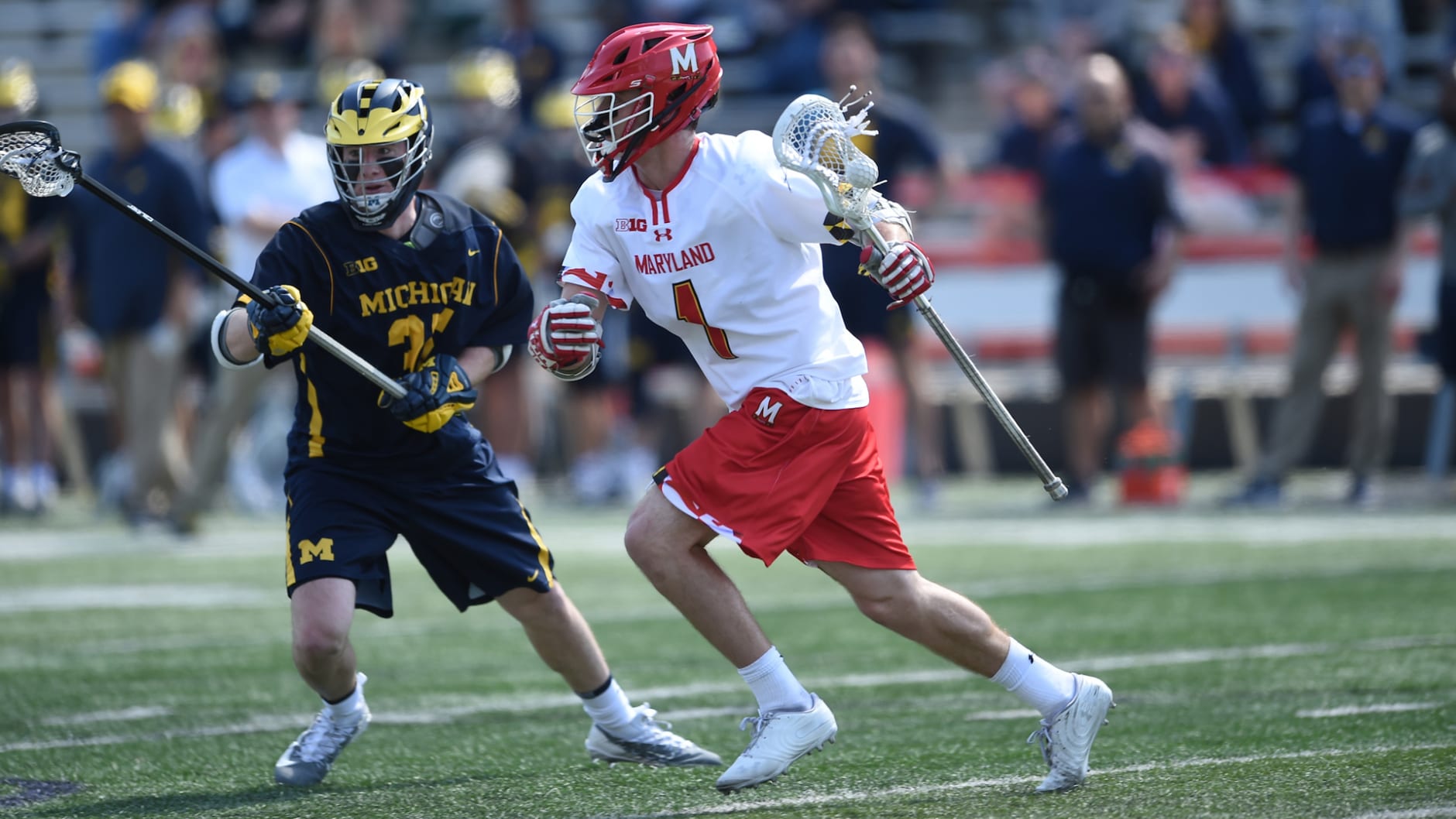 maryland terrapins college ncaa d1