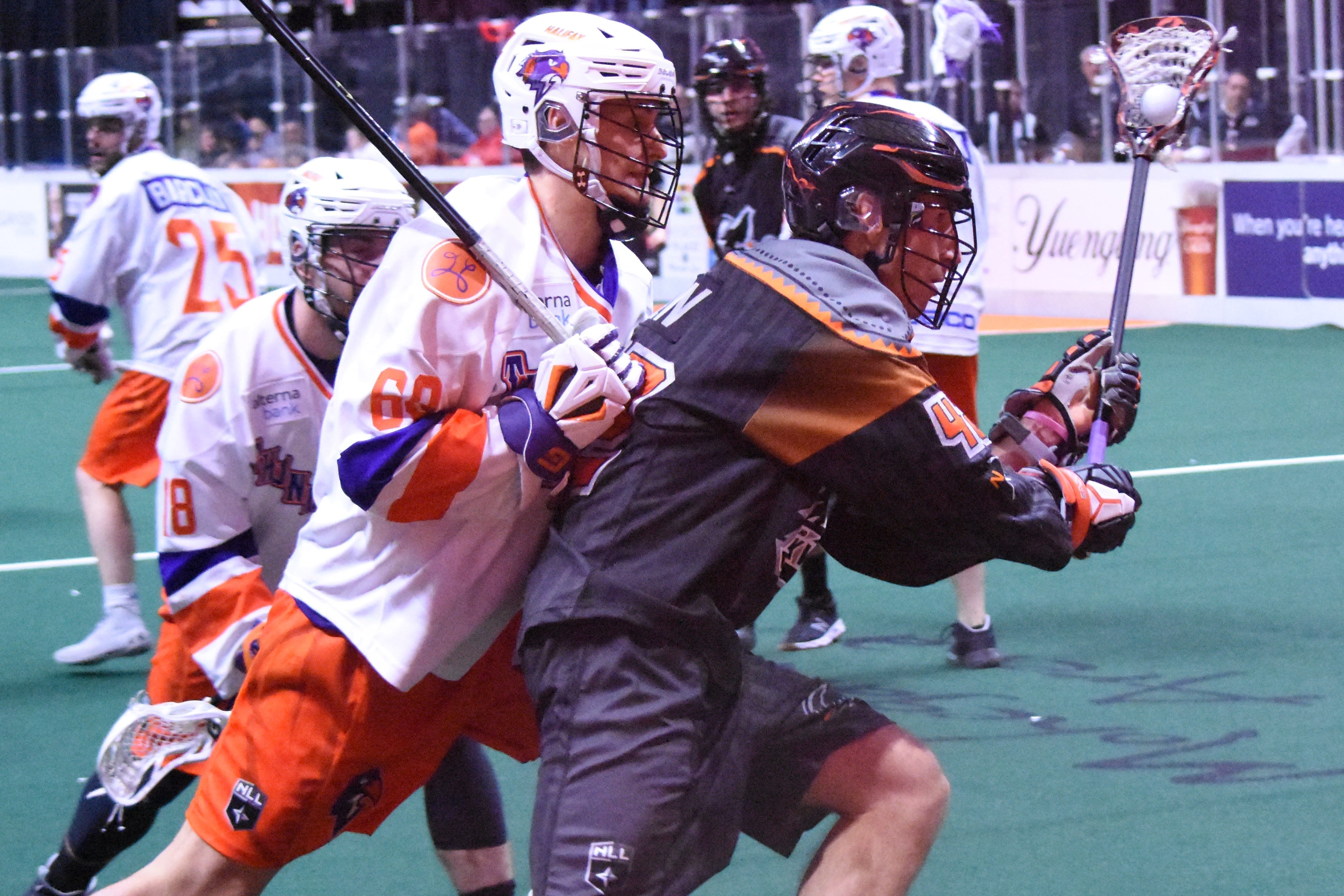 andrew kew new england black wolves nll national lacrosse league