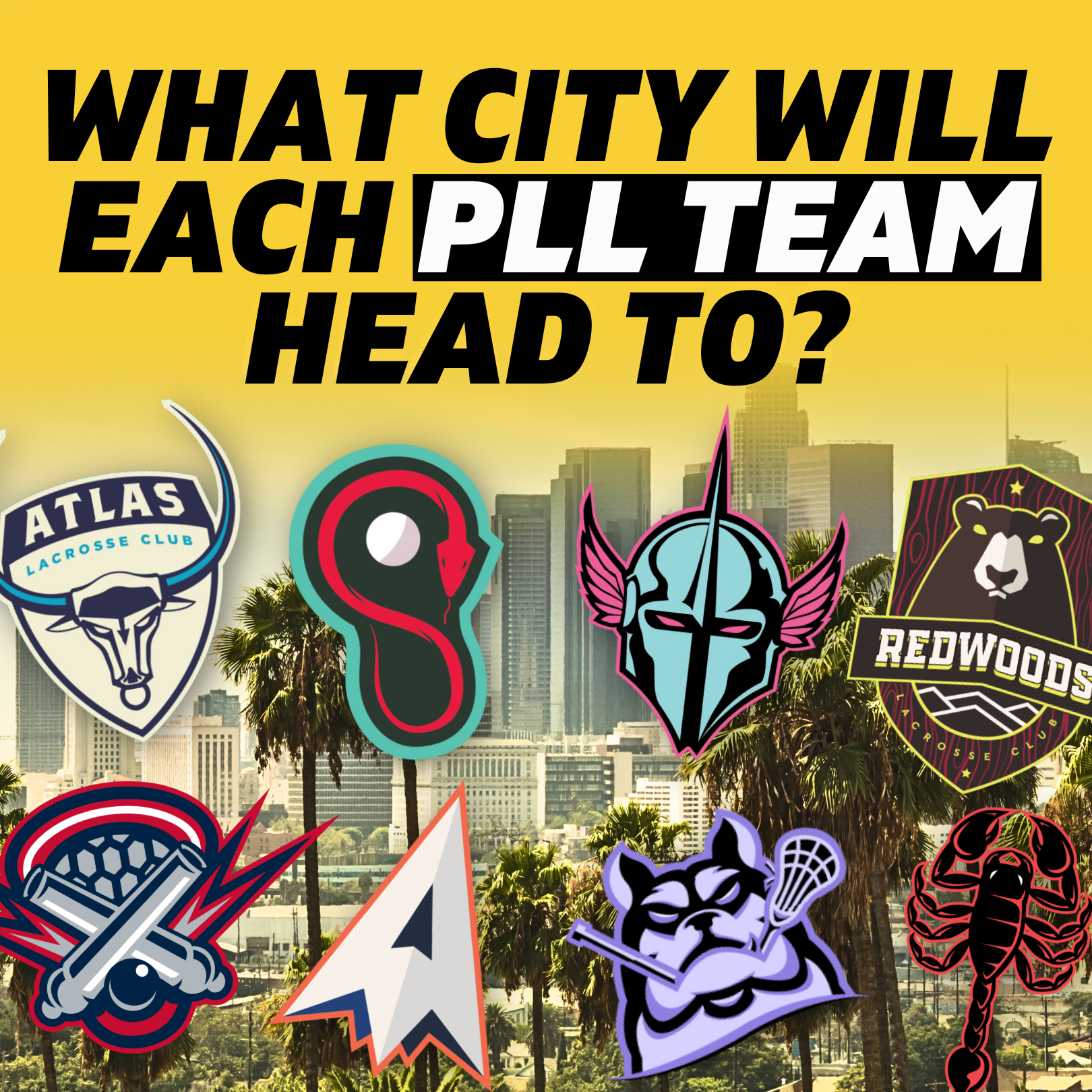 A guide to choosing your PLL team based on your major sports league  allegiances - Pro Lacrosse Talk